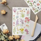12 Sheets Rub On Transfers For Furniture Crafts 1 4-1 8 Inches  Colourful