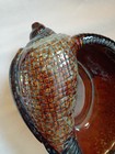 Vintage Conch Shell  Pottery Ceramic Planter Brown Tan Blue Glaze Stamped 0523