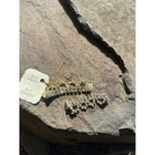 Vintage 1950 Shoe Clips Gold Aurora Borealis Rhinestone Crystal Dangle Statement