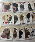4  Dog Breed Assortment Decals Stickers Over 600 Pieces