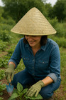 Asian Chinese Japanese Oriental Garden Conical Bamboo Rice Farmer Coolie Hat
