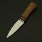 8 Inches Celtic Scottish Dirk Sgian Dubh Dagger Bone Handle Knife Scotland