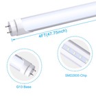 50pack 4ft G13 Bi Pin Led Tube Light Bulbs 22w 2 Pin 4foot Led Shop Light 6000k