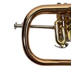 Berkeley Wind Bb Brass Flugelhorn - Rose Brass