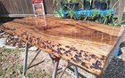 Stunning  3  Thick  23 x43  Sinker Cypress Burl Wood Slab Coffee Table Top Only
