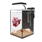 Glass Betta Aquarium Starter Kits 1 5 Gallon Small Fish Tank  Betta Fish Tank   
