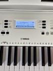 Yamaha Ez-300ad 61-key Portable Lighted Keyboard  white 