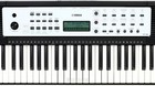 Yamaha Ypt280 61-key Portable Arranger Keyboard