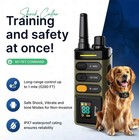 Waterproof Rechargeable Dog Training Collar 1-mile 2-dog