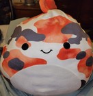Squishmallows Dandii The Koi Fish Jumbo  24   Gently Used  No Tags