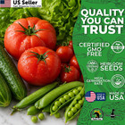 15 Pack Heirloom Vegetable Seeds Variety For Home 15 Pack  Multicolor