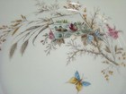 Lovely Antique Hand Painted Porcelain Aesthetic Floral Dinner Plate  Butterflies