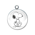 Peanuts Charms