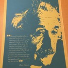 Rare Original 1966 Albert Einstein Silkscreen Heavy Poster 23 X 35 Pandora Prod 