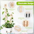 Indoor Plant Trellis  Solid Pine   6 Sets 