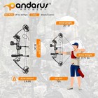 Archery Ready To Hunt Compound Bow Package For Adults And Teens 25 -31  Draw    