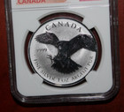 2016 Ngc Grade Pf 69 Reverse Pf Canada Peregrine Falcon Silver Coin    104gcm 