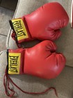 Everlast Youth Boxing Gloves  red Small 