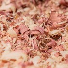 Petspick Red Cedar Pet Bedding For Dogs  Horses  Small Animals  24l