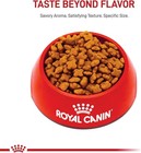 Royal Canin Breed Health Nutrition Jack Russell Terrier Adult Dry Dog Food  10 L