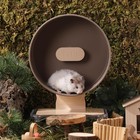 Nut Brown Quiet Hamster Wheel 10 2 Inch Dualbearing Silent Exercise Toy