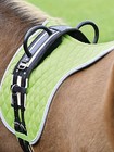 Busse Lunging Belt Double Hand Grips Groundwork Riding No Saddle Blue Pink