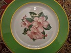 Greenbrier Resort Hotel Syracuse China Dorothy Draper Rhododen 63 8 Bread Plate 