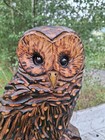 Chainsaw Carved Barred Owl Sculpture Statue Wood Carving Art Owls Rustic Decor