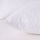 Throw Pillow Inserts  Set Of 2 Down Feather Pillows Inserts Bed And Couch Pil   