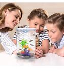Betta Fish Tank  360 Aquarium With Led Light  1 Gallon Fish Bowl  Small Fish    