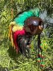 Premium Medium Kamani Ikaika Rasta Hawaiian Warrior Helmet Home Decor Hanging