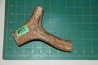 Large Upper Elk Antler Dog Chew  55   Bone Chews Moose Treats Deer 1106