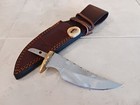 Stainless Knife Blank   Brass Guard 6 25  Oa   Premium Leather Sheath New