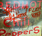 2002 Red Hot Chili Peppers Signed  by The Way  Cd Anthony Kiedis Flea Rhcp