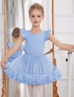 Girls Ballet Leotards Toddler Ruffle Sleeve Crisscross Back Tutu Dance Dress    