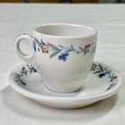 Syracuse China C o Railroad Virginia Hot Springs Demitasse Cup Saucer Homestead