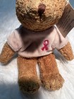 Avon Breast Cancer Crusade Teddy Bear Bean Bag Plush Stuffed Animal Toy 2001