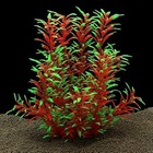 Large Plastic Aquarium Plant - Artificial Fish Tank - Ornament
