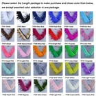 Wholesale  Rooster hen hackle chick Feather Fringe Trim Fascinator Material  yy