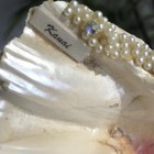 Rare Kauai Vintage Hippopus Sea Ocean Bear Claw Clam Shell Strawberry Pearl Bead