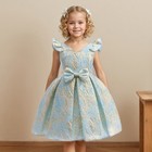 Girls Flower Kids Bowknot Tutu Dress Princess Party Christmas Birthday Pageant