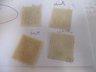 Lot Of 4 China Liao Chung Kai Stamps 3 Mnh   1 Used Shanghai Cancel Stamps
