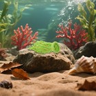 2 Pcs Fish Egg Collector Spawning Mops For Tank Aquarium Breeding Grass