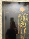 Tool Poster St Paul Mn 10 31 2023 Signed 729 750