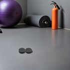  2 Pcs Black Pucks Ice Hockey Balls For Practicing Sport Accessory