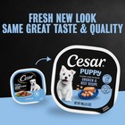 Cesar Puppy Classic Wet Dog Food Chicken   Beef Or Variety Pack 3 5oz 24ct