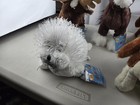 Webkinz Plush Lot With Codes Sealed Nwt Beagle Moose Clydesdale Horse Seal