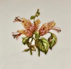 Flintridge Cambria Cocoa Sterling Rimmed 9 1 2  China Plate