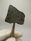 Nwa 17913 Ck5 Carbonaceous Chondrite Meteorite 19 5 Gram Full Slice W Chondrules