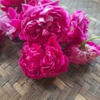 Dried Red Rose Petals